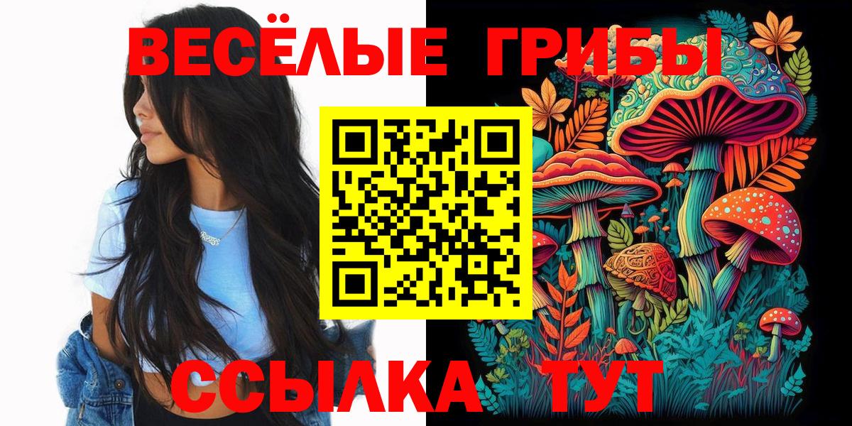 Галлюциногенные грибы мицелий Кандалакша