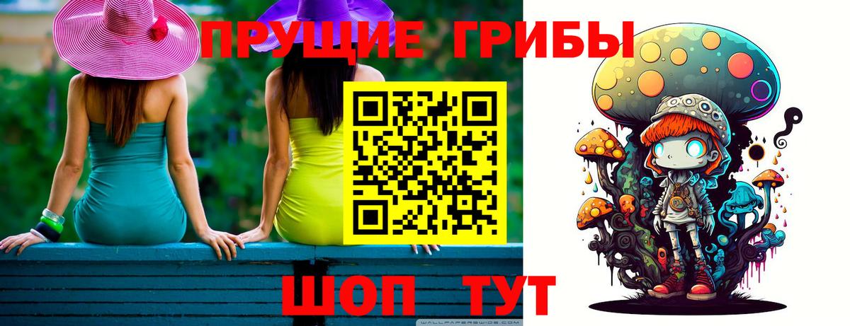 Псилоцибиновые грибы ЛСД  купить  сайты  Вход с VPN  Кандалакша  Галлюциногенные грибы Cubensis 